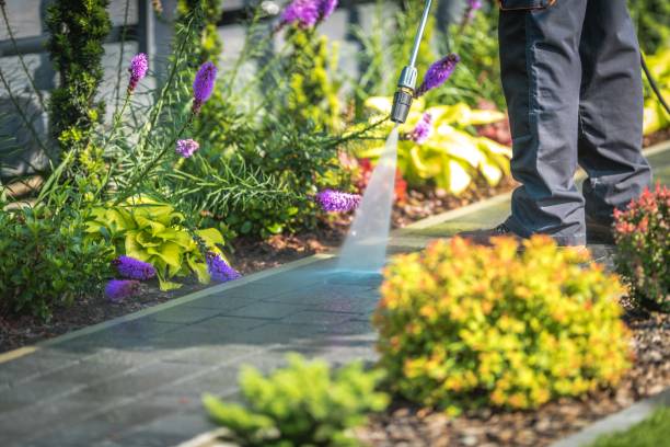 Best Animal Enclosure Cleaning  in Corning, NY